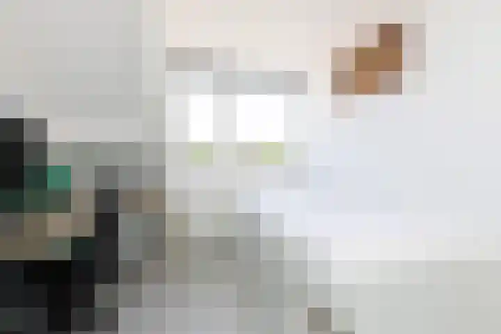 Zonnedauw 24 Sneek thumbnail 20