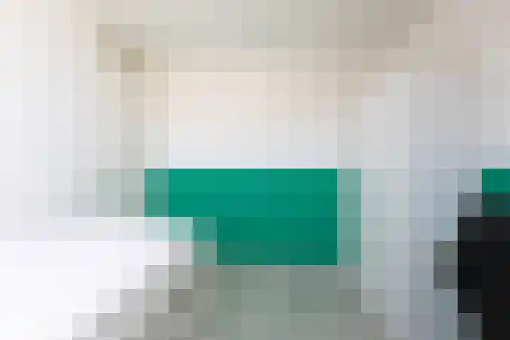 Zonnedauw 24 Sneek thumbnail 21