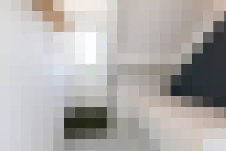 Zonnedauw 24 Sneek thumbnail 22