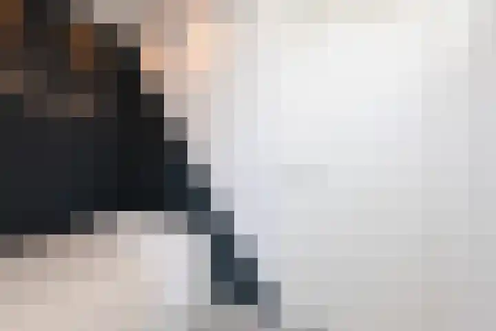 Zonnedauw 24 Sneek thumbnail 23