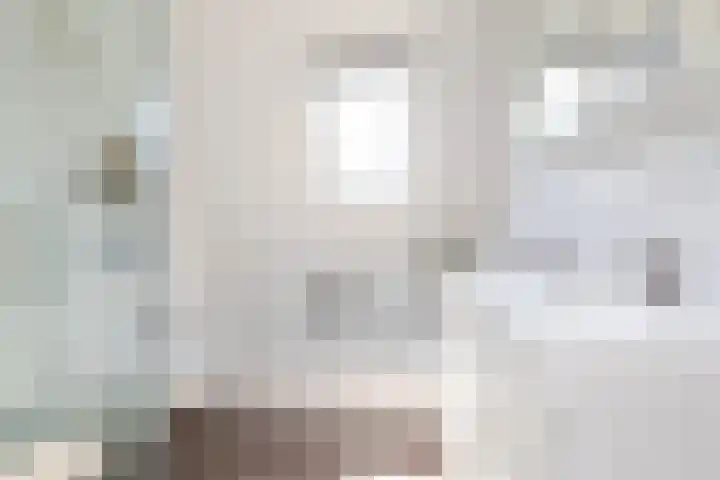 Zonnedauw 24 Sneek thumbnail 24