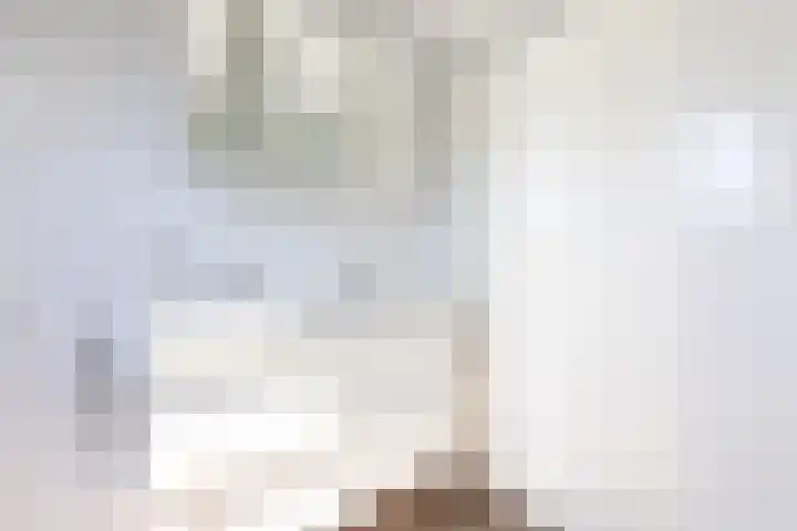 Zonnedauw 24 Sneek thumbnail 25
