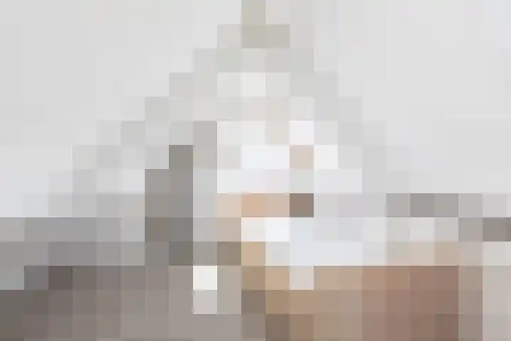 Zonnedauw 24 Sneek thumbnail 27