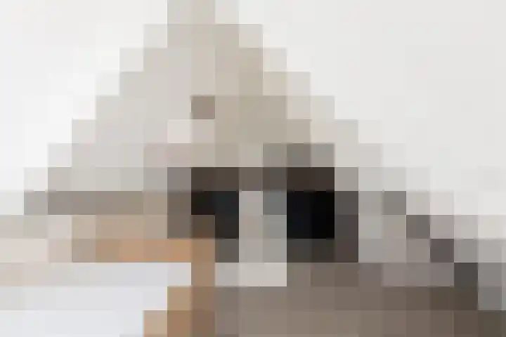 Zonnedauw 24 Sneek thumbnail 28