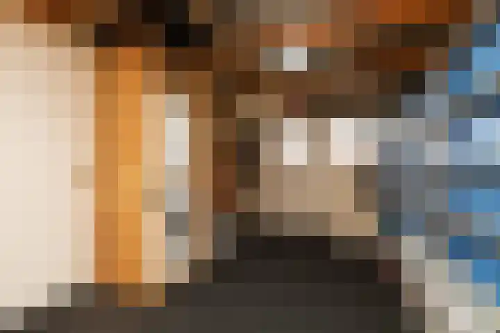 Zonnedauw 24 Sneek thumbnail 29