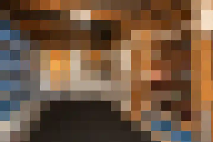 Zonnedauw 24 Sneek thumbnail 30