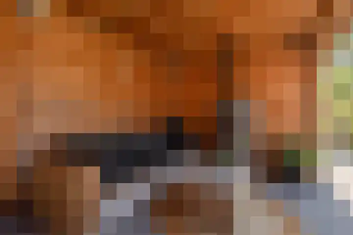 Zonnedauw 24 Sneek thumbnail 31
