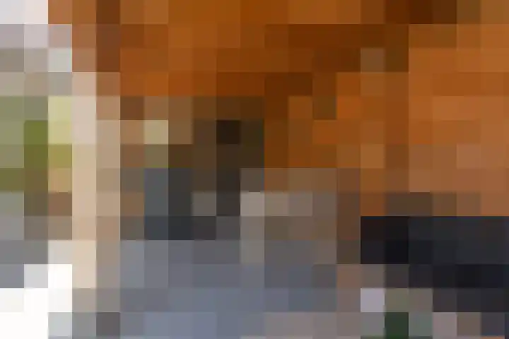Zonnedauw 24 Sneek thumbnail 32