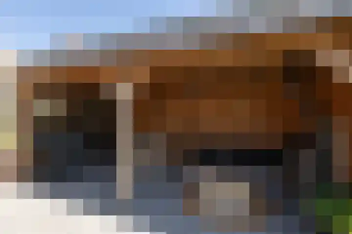 Zonnedauw 24 Sneek thumbnail 33