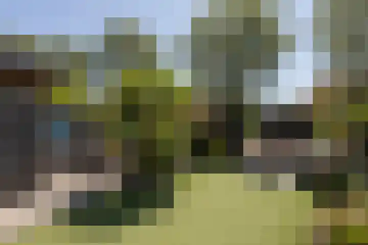 Zonnedauw 24 Sneek thumbnail 36