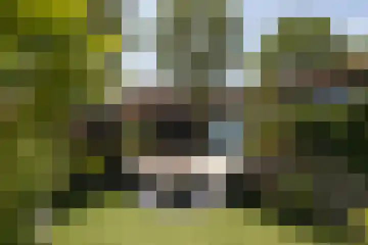 Zonnedauw 24 Sneek thumbnail 37