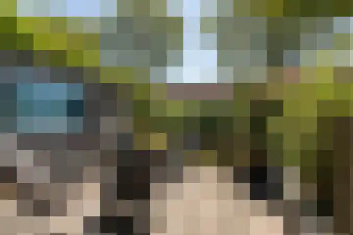 Zonnedauw 24 Sneek thumbnail 38