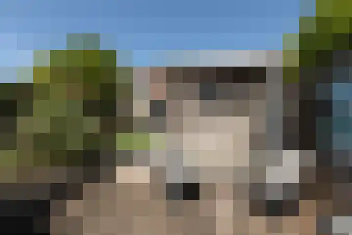Zonnedauw 24 Sneek thumbnail 39