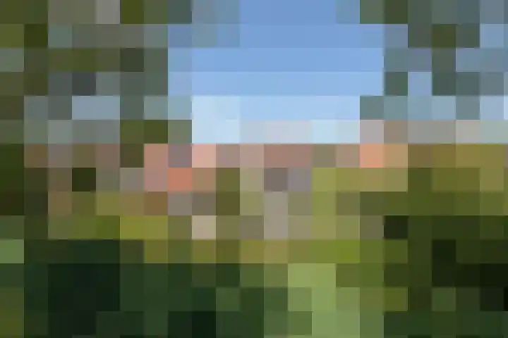 Zonnedauw 24 Sneek thumbnail 41