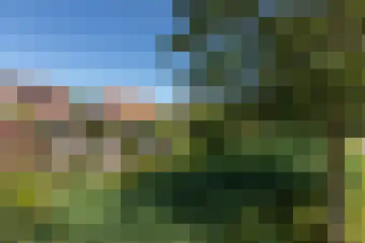 Zonnedauw 24 Sneek thumbnail 42
