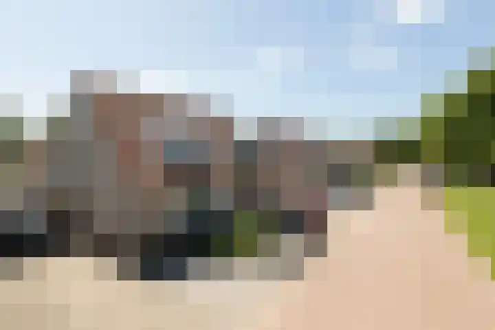 Zonnedauw 24 Sneek thumbnail 44