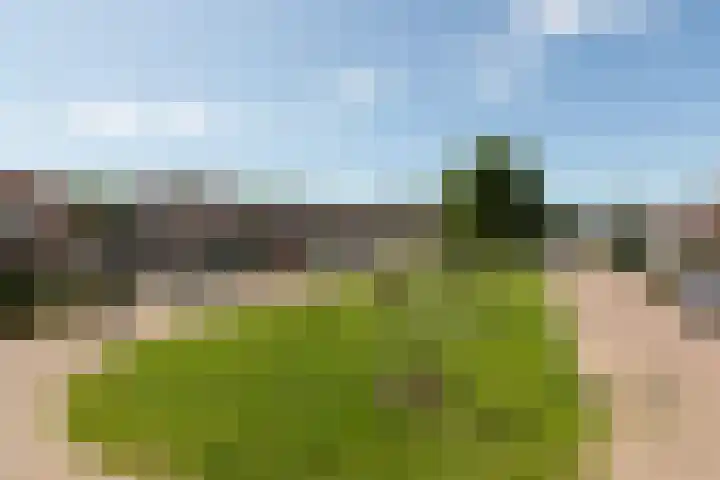 Zonnedauw 24 Sneek thumbnail 45