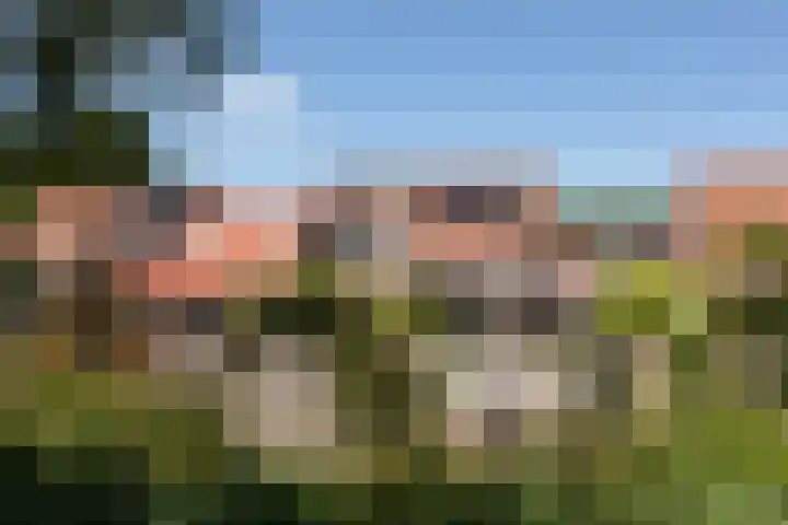 Zonnedauw 24 Sneek thumbnail 51