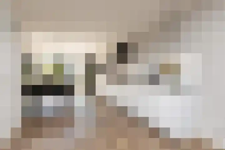 Zonnedauw 24 Sneek thumbnail 8