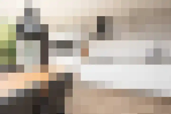 Zonnedauw 24 Sneek thumbnail 9