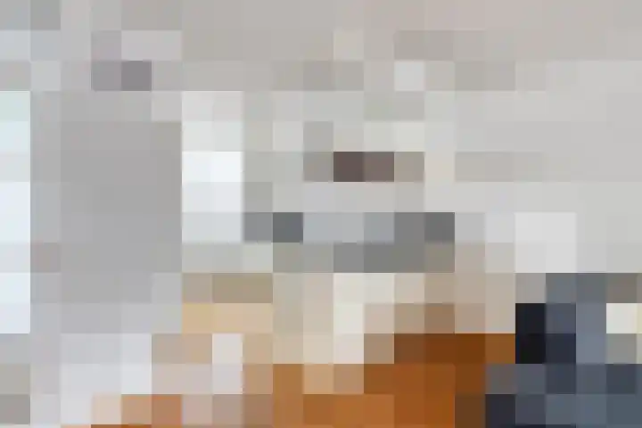 Zonnedauw 26 Goirle thumbnail 12