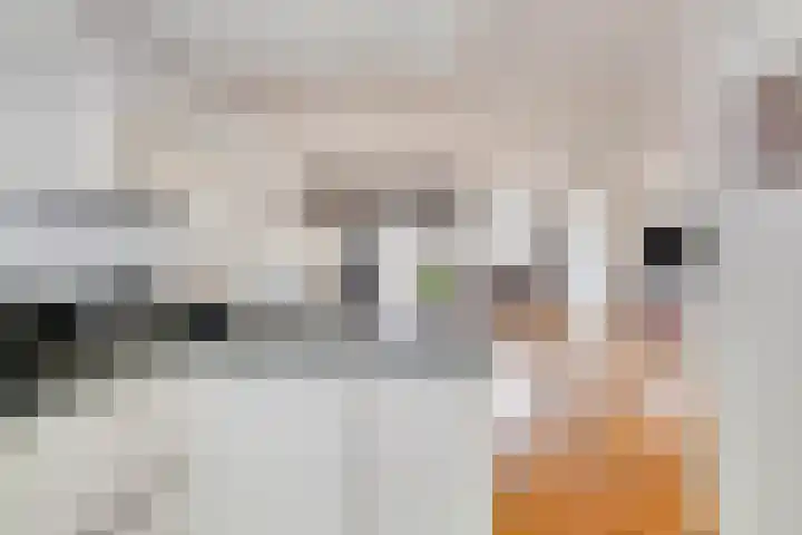 Zonnedauw 26 Goirle thumbnail 14