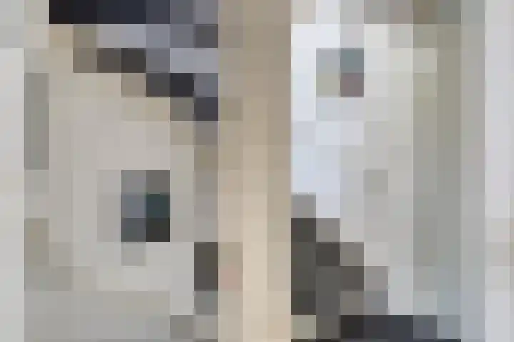 Zonnedauw 26 Goirle thumbnail 15