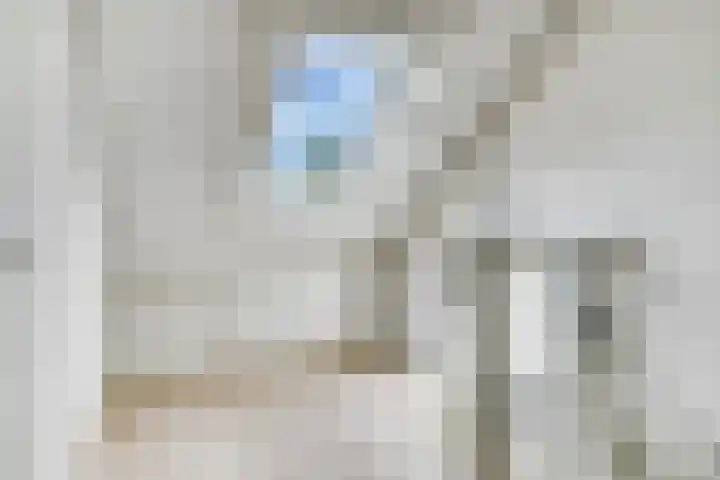 Zonnedauw 26 Goirle thumbnail 23