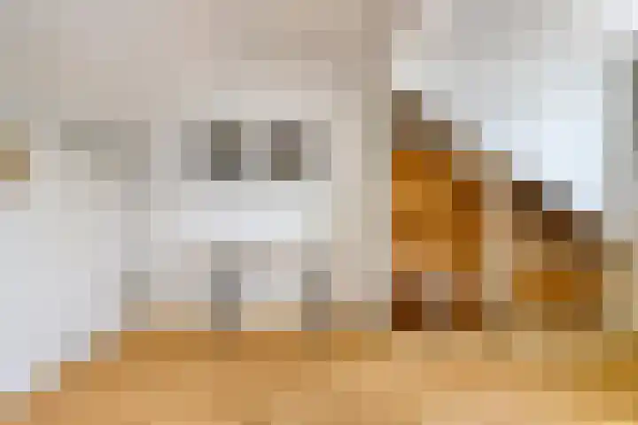 Zonnedauw 26 Goirle thumbnail 24