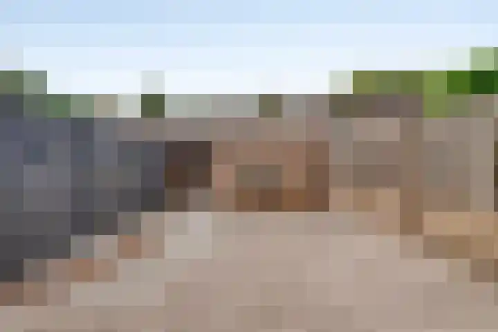 Zonnedauw 26 Goirle thumbnail 28