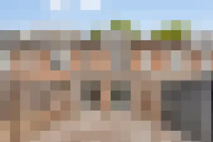 Zonnedauw 26 Goirle thumbnail 29