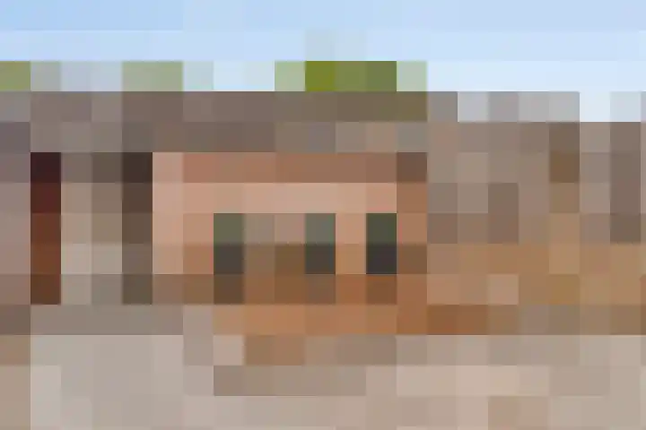 Zonnedauw 26 Goirle thumbnail 30