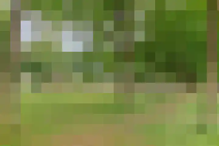Zonnedauw 26 Goirle thumbnail 31