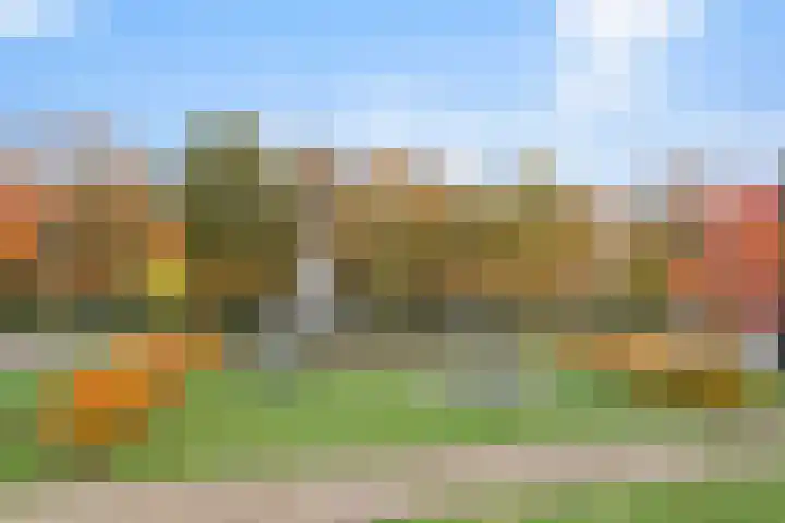 Zonnedauw 26 Goirle thumbnail 32