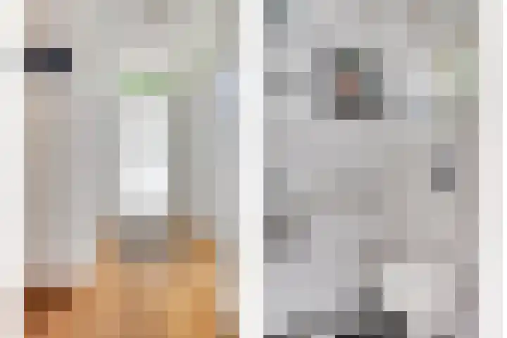 Zonnedauw 26 Goirle thumbnail 4