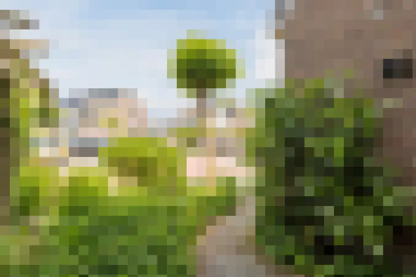 Zonnedauw 26 Reeuwijk thumbnail 6