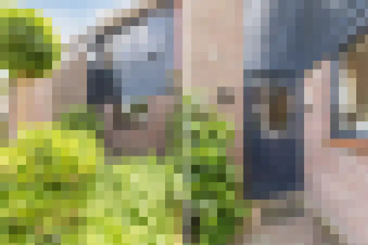 Zonnedauw 26 Reeuwijk thumbnail 7