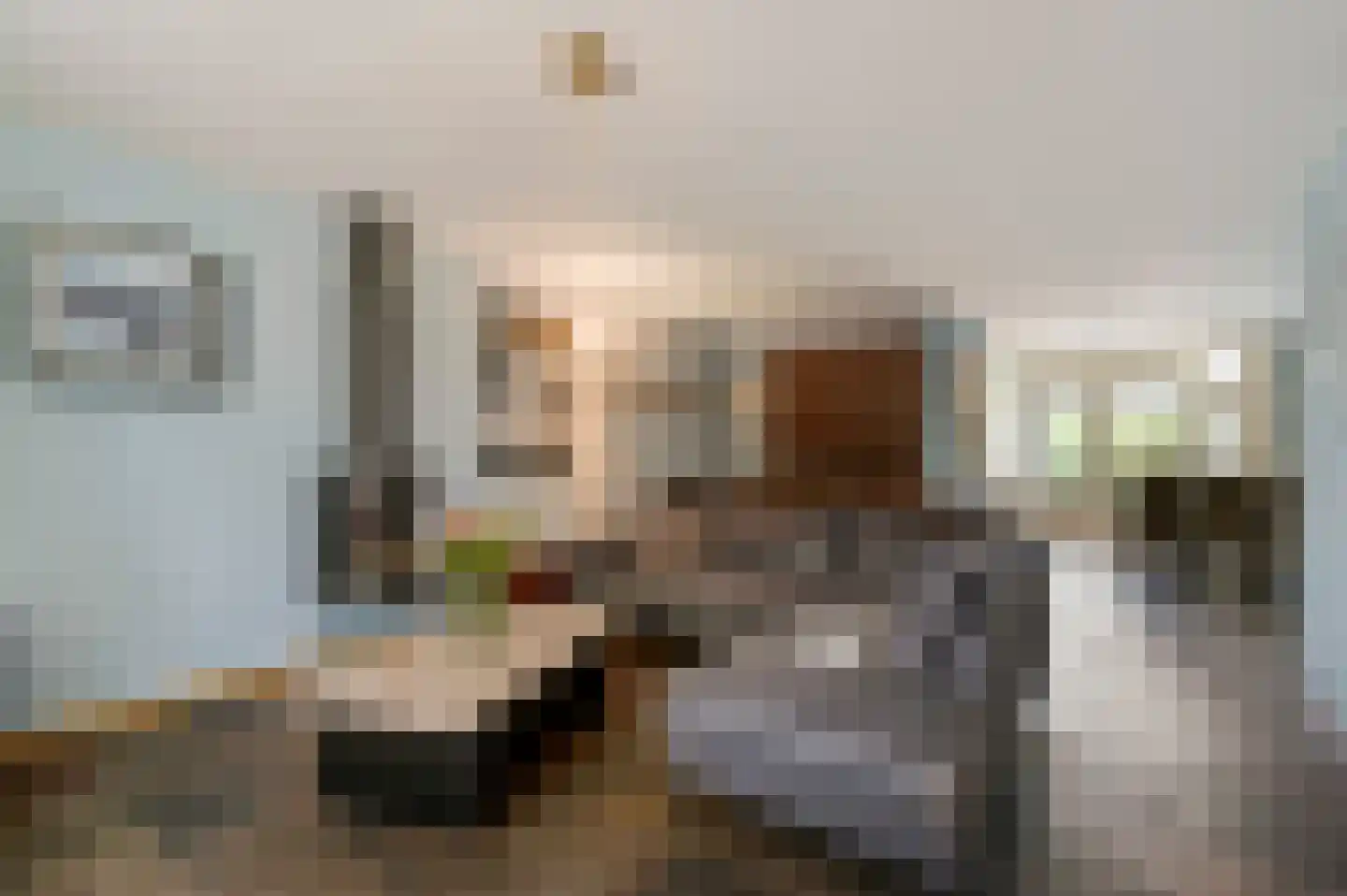 Zonnedauw 29 Sevenum thumbnail 13