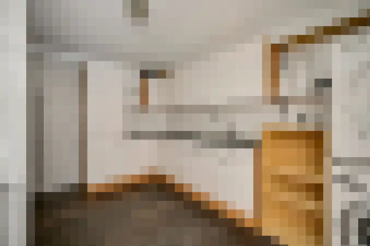 Zonnedauw 29 Sevenum thumbnail 20