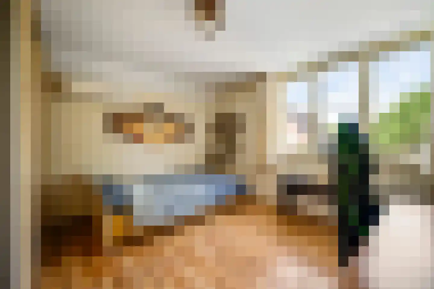 Zonnedauw 29 Sevenum thumbnail 31