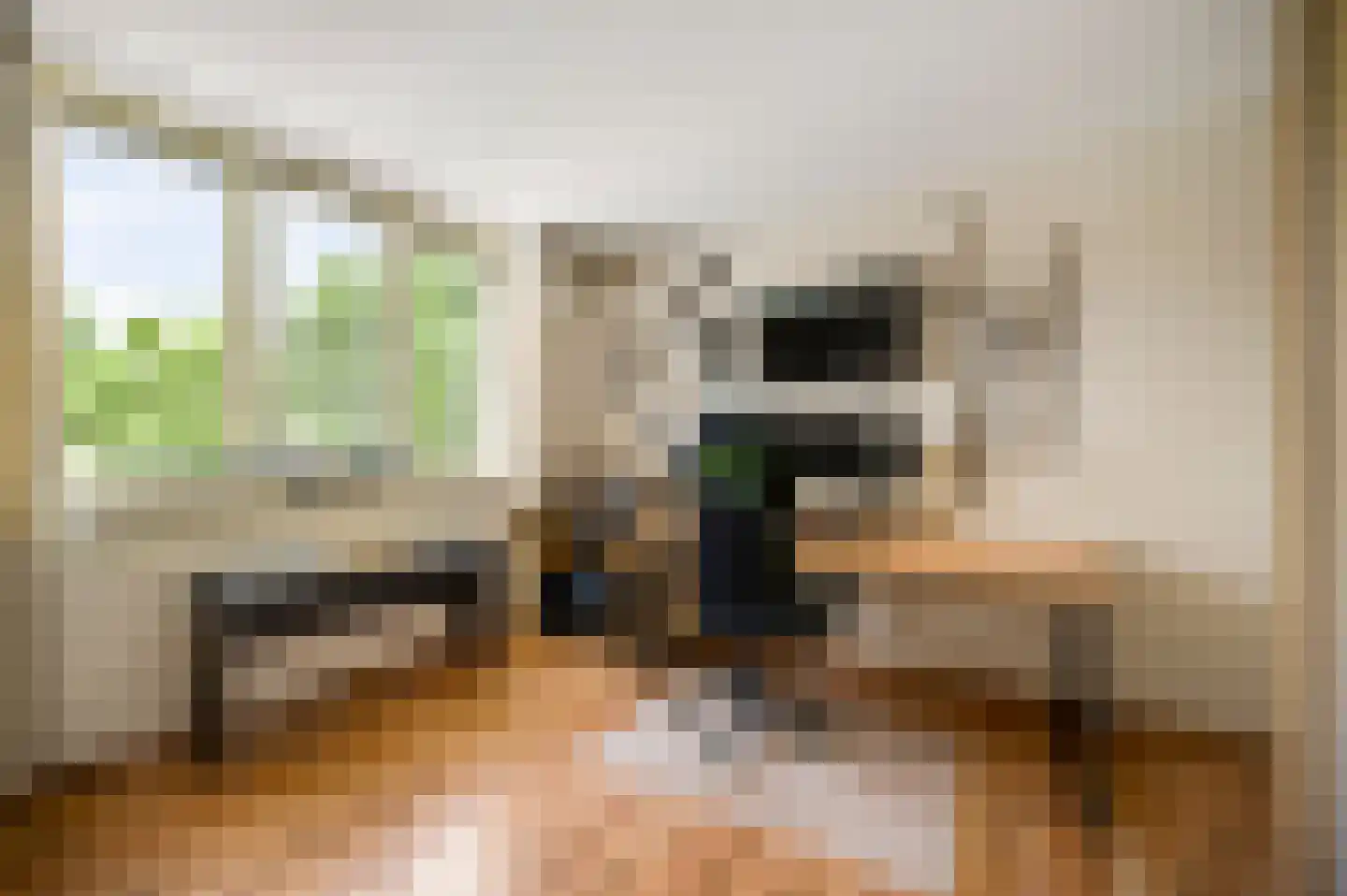 Zonnedauw 29 Sevenum thumbnail 32