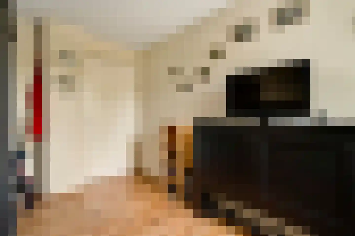 Zonnedauw 29 Sevenum thumbnail 35