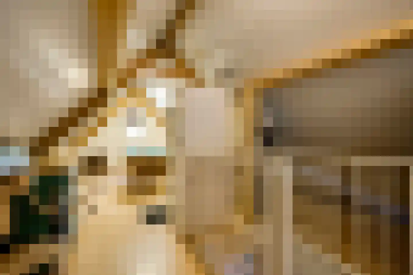 Zonnedauw 29 Sevenum thumbnail 38