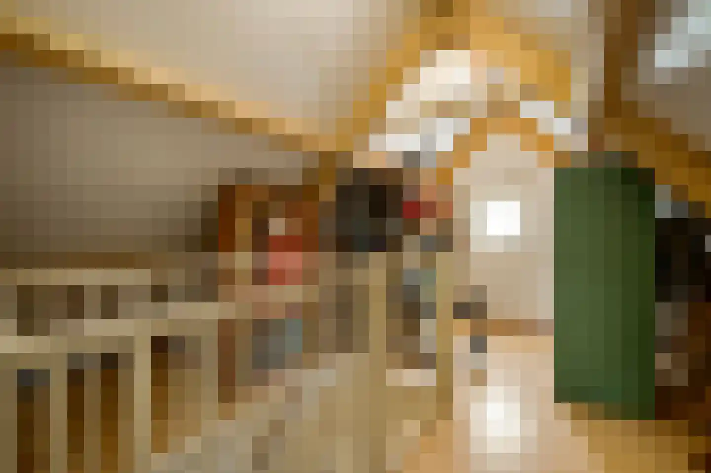 Zonnedauw 29 Sevenum thumbnail 39
