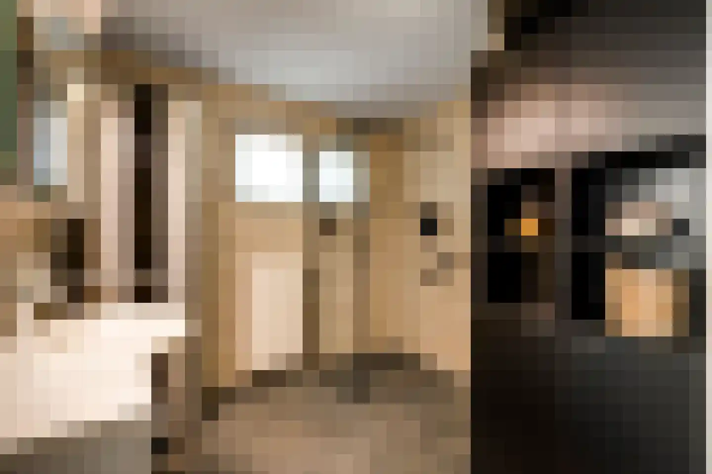 Zonnedauw 29 Sevenum thumbnail 4