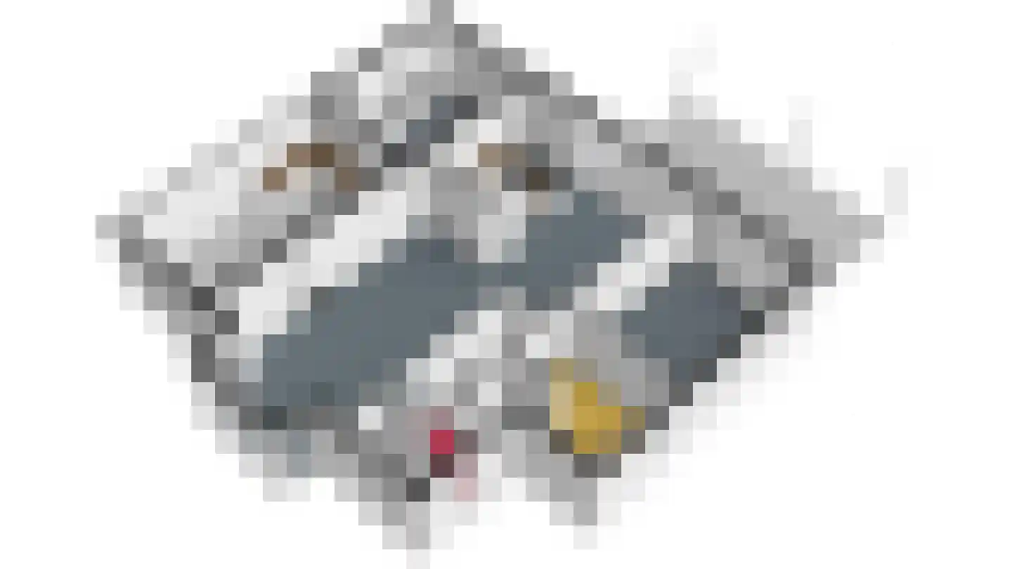 Zonnedauw 29 Sevenum thumbnail 51