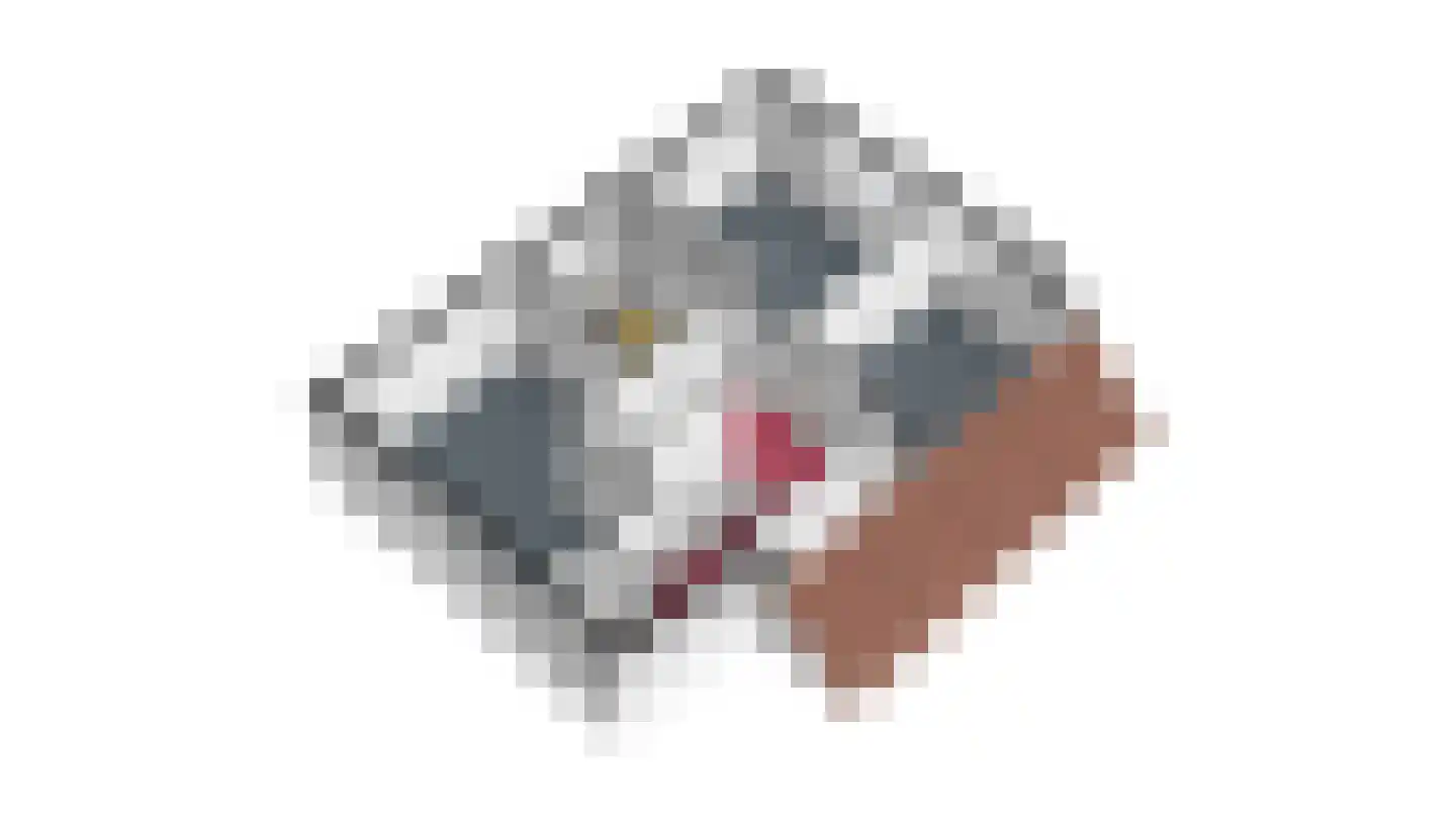 Zonnedauw 29 Sevenum thumbnail 53