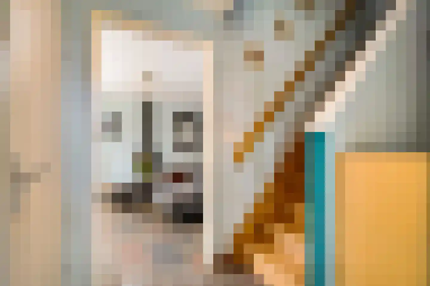 Zonnedauw 29 Sevenum thumbnail 7