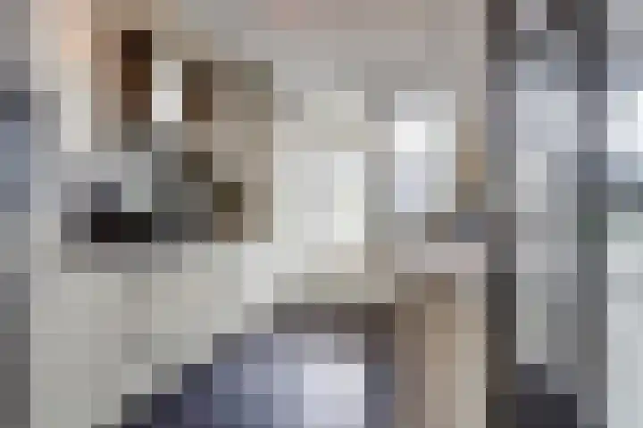 Zonnedauw 3 Valkenswaard thumbnail 11