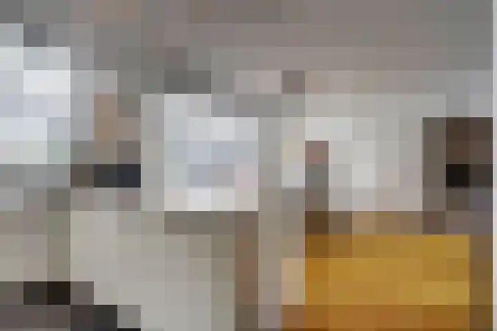 Zonnedauw 3 Valkenswaard thumbnail 12
